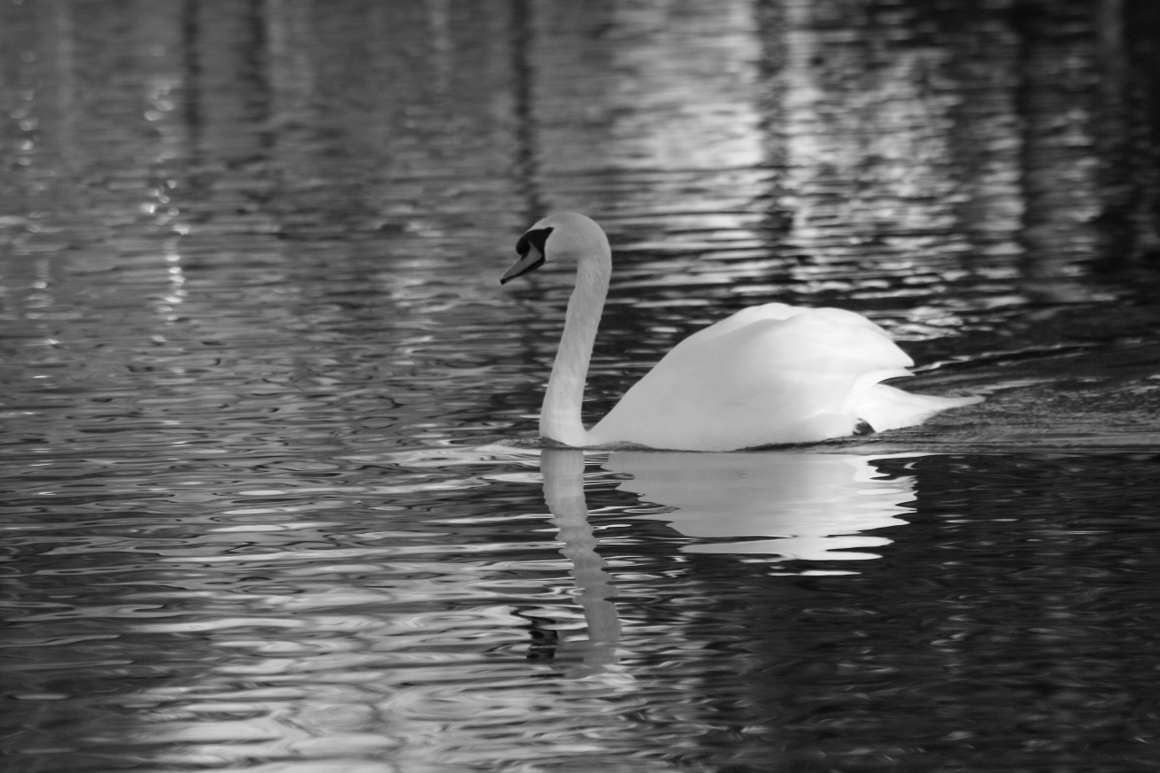2016 02 22 HTP 000102924ebw